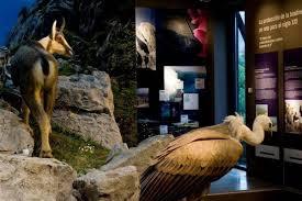 Las Montañas Del Quebrantahuesos